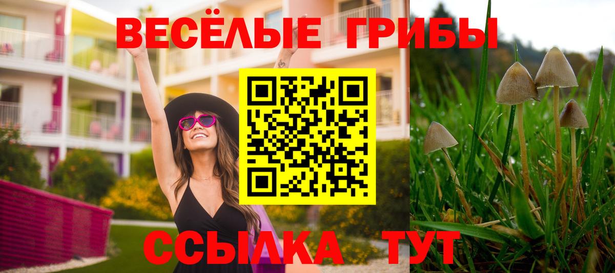 Унеча  где найти   Псилоцибиновые грибы ЛСД  Вход с VPN  Псилоцибиновые грибы прущие грибы 